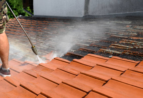 Best Residential Pressure Washing Services  in Mahopac, NY