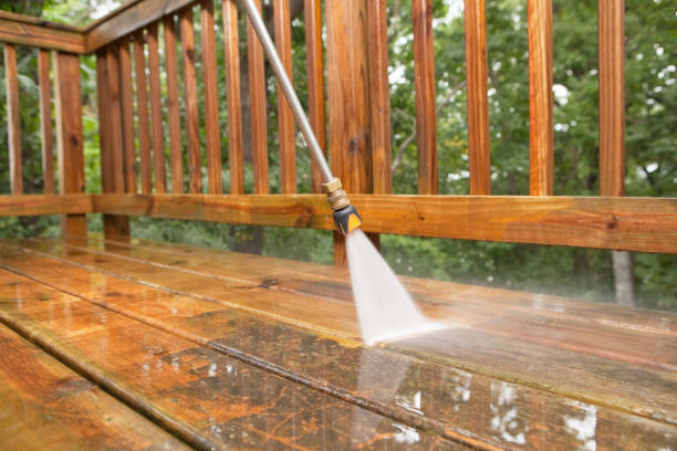 Roof Power Washing Services